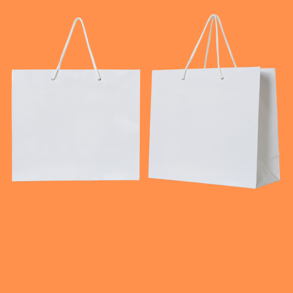 Baskısız Beyaz Çanta 12×32×41 250 AD.